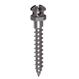 Mini parafuso ortod&ocirc;ntico com furo cruzado 2,5 x 1,6 x 7 mm (pe&ccedil;a)
