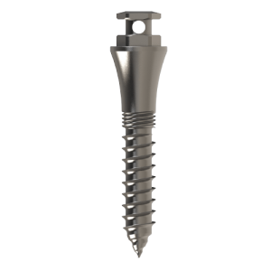 Mini parafuso ortod&ocirc;ntico palatino Baxmann O.S.A.S 2.1 x 12 mm (pe&ccedil;a)